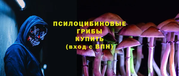 МДПВ Алзамай