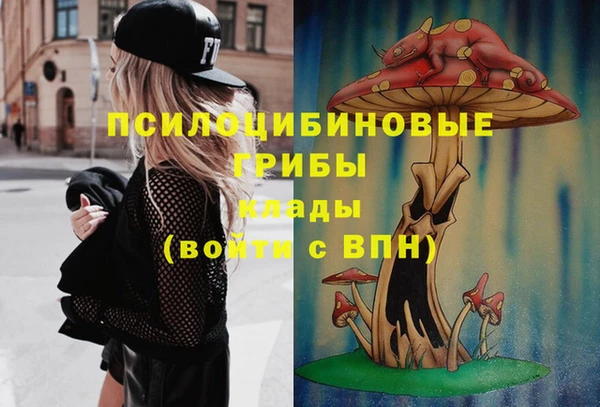 ALPHA PVP Алексин