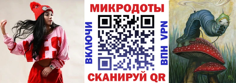 Псилоцибиновые грибы Psilocybe сайты даркнета как зайти Камызяк